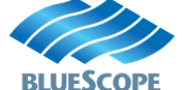 blue scope log 2